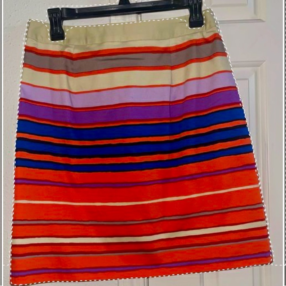 NWT The Limited Skirt